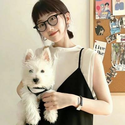 燕尾蝶 海报